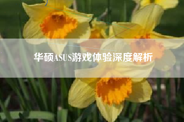 华硕ASUS游戏体验深度解析