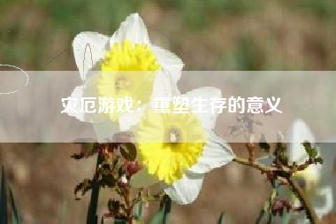 灾厄游戏：重塑生存的意义