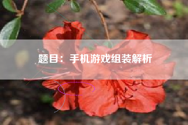 题目：手机游戏组装解析