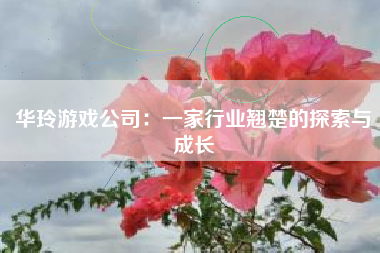 华玲游戏公司：一家行业翘楚的探索与成长