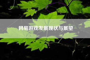 网易游戏发展现状与展望