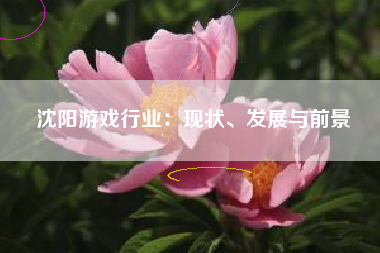沈阳游戏行业：现状、发展与前景