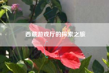 西藏游戏厅的探索之旅