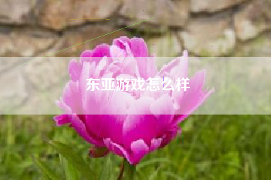 东亚游戏怎么样