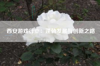 西安游戏行业：蓬勃发展与创新之路