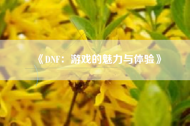 《DNF：游戏的魅力与体验》