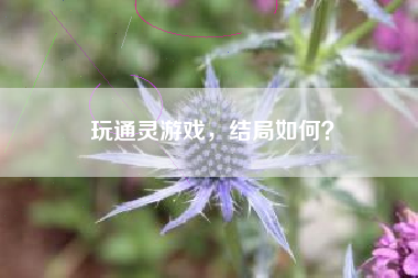 玩通灵游戏，结局如何？
