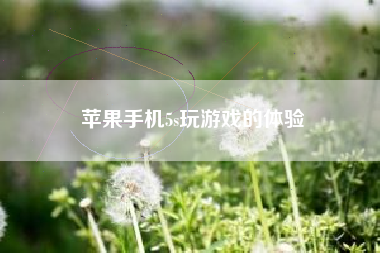 苹果手机5s玩游戏的体验