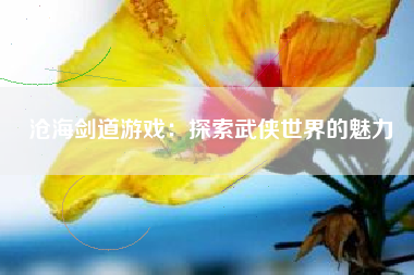 沧海剑道游戏：探索武侠世界的魅力