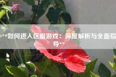 **如何进入区服游戏：深度解析与全面指导**