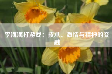 李海海打游戏：技术、激情与精神的交融