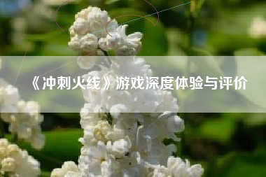 《冲刺火线》游戏深度体验与评价