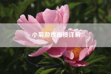 小菊游戏画质详解