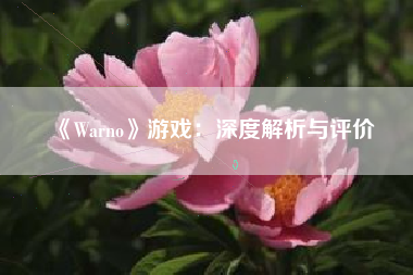 《Warno》游戏：深度解析与评价