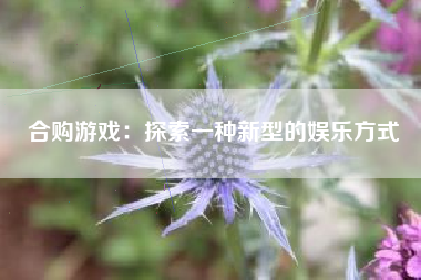 合购游戏：探索一种新型的娱乐方式