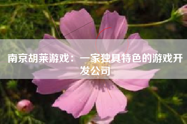 南京胡莱游戏：一家独具特色的游戏开发公司