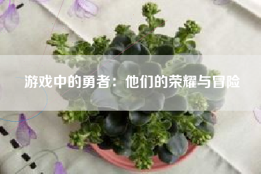 游戏中的勇者：他们的荣耀与冒险