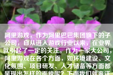 阿里游戏，作为阿里巴巴集团旗下的子公司，自从进入游戏行业以来，在业界就引起了一定的关注。作为一家大公司，阿里游戏在各个方面，如环境建设、文化氛围、项目研发、人才储备等方面都呈现出怎样的面貌呢？下面我们就来详细了解一下阿里游戏的环境情况。