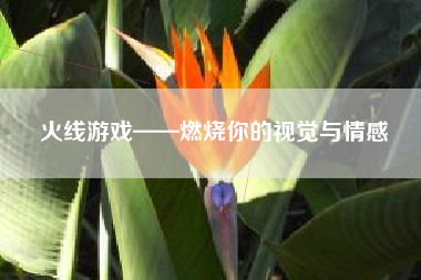 火线游戏——燃烧你的视觉与情感