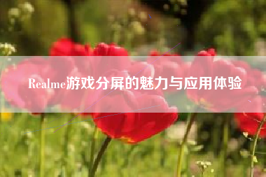 Realme游戏分屏的魅力与应用体验