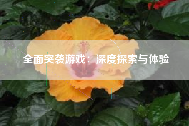 全面突袭游戏：深度探索与体验