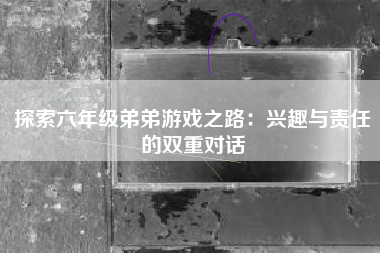 探索六年级弟弟游戏之路：兴趣与责任的双重对话