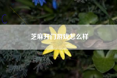 芝麻开门游戏怎么样