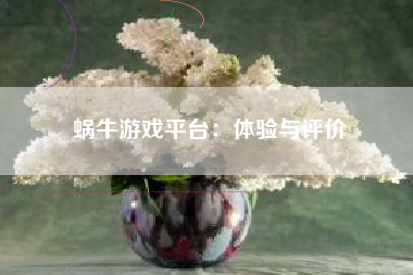 蜗牛游戏平台：体验与评价