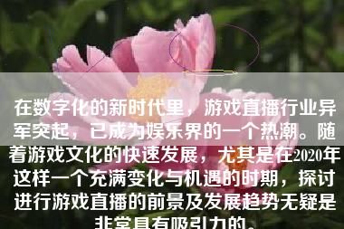 在数字化的新时代里，游戏直播行业异军突起，已成为娱乐界的一个热潮。随着游戏文化的快速发展，尤其是在2020年这样一个充满变化与机遇的时期，探讨进行游戏直播的前景及发展趋势无疑是非常具有吸引力的。