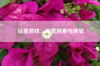 钻皇游戏：深度探索与体验
