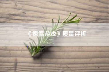 《傀儡游戏》质量评析