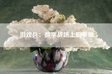 游戏兵：数字战场上的英雄