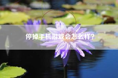 停掉手机游戏会怎么样？