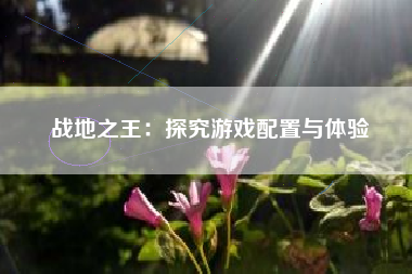 战地之王：探究游戏配置与体验