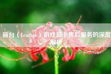 丽台（Leadtek）游戏显卡售后服务的深度解析