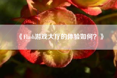 《Flash游戏大厅的体验如何？》