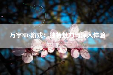 万宇NDS游戏：独特魅力与深入体验