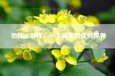 地球OL游戏：一个真实的虚拟世界