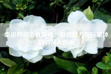 幸运双星街机游戏：游戏魅力与玩家体验的深入剖析
