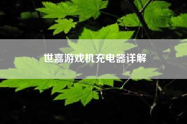 世嘉游戏机充电器详解