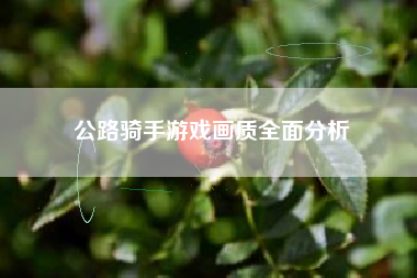 公路骑手游戏画质全面分析