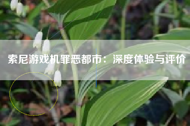 索尼游戏机罪恶都市：深度体验与评价