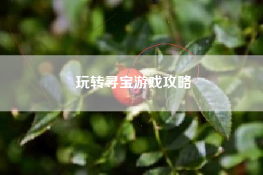 玩转寻宝游戏攻略