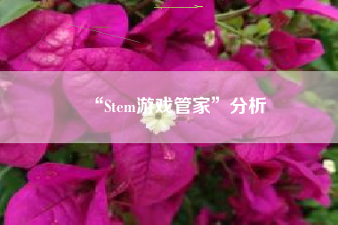 “Stem游戏管家”分析