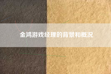 金鸿游戏经理的背景和概况