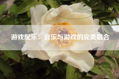 游戏配乐：音乐与游戏的完美融合