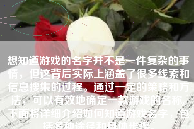 想知道游戏的名字并不是一件复杂的事情，但这背后实际上涵盖了很多线索和信息搜集的过程。通过一定的策略和方法，可以有效地确定一款游戏的名称。下面将详细介绍如何知道游戏名字，包括多种途径和具体步骤。