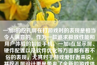 一加8的挖孔屏在打游戏时的表现是相当令人满意的。作为一款追求极致性能和用户体验的智能手机，一加8在显示屏、硬件配置以及软件优化等方面都有着不俗的表现，尤其对于游戏爱好者来说，其挖孔屏设计更是带来了全新的游戏体验。下面，我们就来详细探讨一下一加8的挖孔屏在打游戏时的表现。