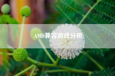 AMD兼容游戏分析