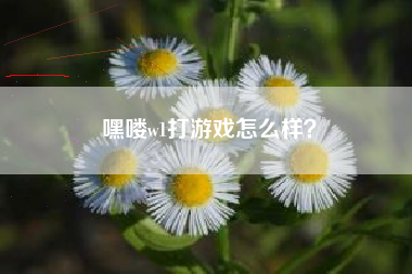 嘿喽w1打游戏怎么样？